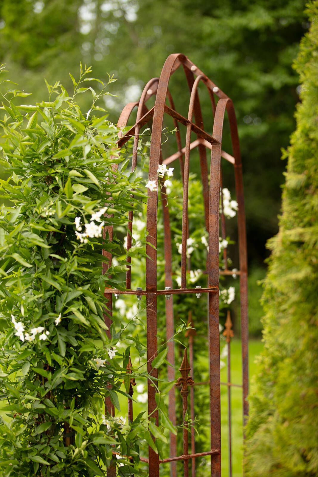 Rosenbogen Cosenza » eine ideale Rankhilfe für Ihren Garten